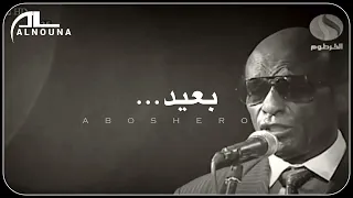 محمد الامين زاد الشجون 