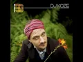 DJ Koze: DJ Kicks (Continuous Mix)
