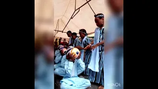 hausa group