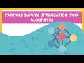 Particle Swarm Optimization PSO Algorithm and Example
