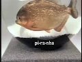 No Piranha Days at Hoehn Honda - 1995