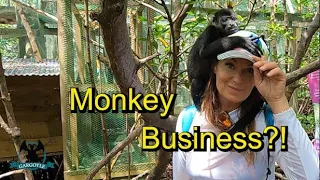 Monkey Business in Bocas Del Toro Ep. 66