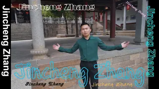 Download Jincheng Zhang - I Blame My Own (Official Music Audio) MP3