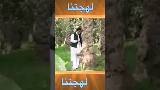 خميس ناجي شيلي اغطاك وجضى حالات واتس من برنامج لهجتنا 