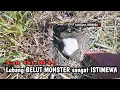Download Lagu BENAR DUGAAN KU‼️PASTI SELALU DAPAT BELUT BESAR JIKA MANCING DI SINI