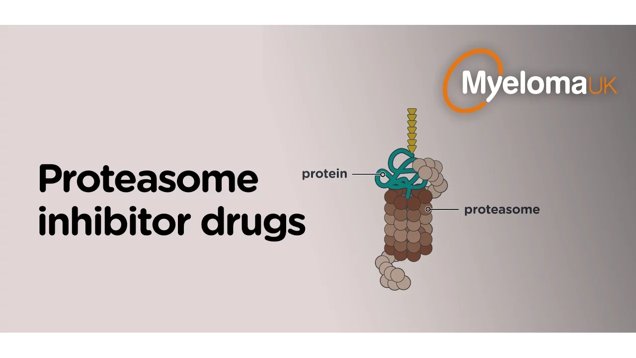 Proteasome inhibitor drugs