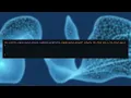 Implementing Neural Networks Backpropagation from Scratch in C Jaysmito Mukherjee