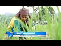 Download Lagu Ficky Tanjung-Langit Hujunjung (Official Music Video) Tapsel Madina