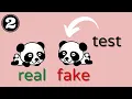 Generate Synthesis Pandas DataFrame for Testing in Python with Pandera and Hypothesis Part 2