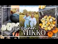 Download Lagu SYKSYINEN VLOGI: UUDET KYNNET, SYYSKODIN OSTOSTEN ESITTELY, HYMYHEIMO \u0026 KURPITSOJA | Katri Konderla