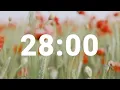 28 Minute Timer with Relaxing Music and Alarm Countdown Clock for Stress Relief