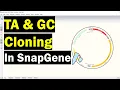 Download Lagu Simulating TA And GC Cloning In SnapGene