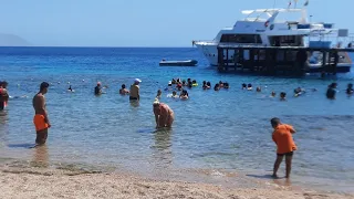 جوله وسنوركلينج فى شاطئ خليج القروش فى شرم الشيخ 