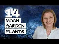 Lagu 14 White Plants for a Glowing Moon Garden