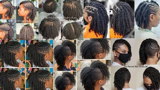 45 Gorgeous Natural Twist Braids Hairstyles for African Women Unique Twist Braids Hairstyles
