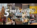 Pet Lovers Rejoice 5 HOTELS in Manila to Bring Your Furry Friend