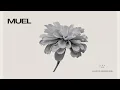 Download Lagu MUEL #22: Midweek Focus Mix | Steady Rhythms \u0026 Chill Beats for Getting Things Done