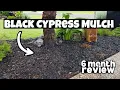 Black Cypress Mulch - 6 month REVIEW
