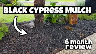 Black Cypress Mulch - 6 month REVIEW
