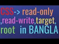 CSS PSEUDO CLASS read-only read-write target root