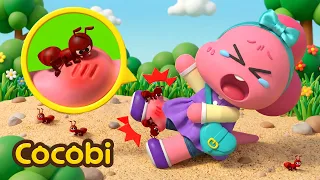 ¡Ay! ¡Me picó una hormiga!😢🐜 | Canciones Infantiles | Cocobi