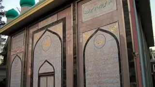في حضرة المحبوب صلى الله عليه وسلم  وائل جسار عندما يبدع  دندنها