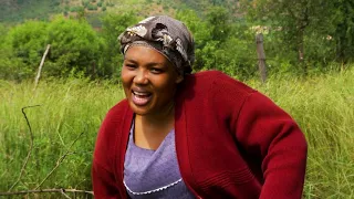 mmaausi lekoma tshimo ea tlholwa