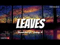 Leaves || Ben&Ben feat. Young K of Day6 (Lyrics)