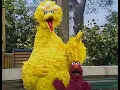 Download Lagu SesameToons: Telly doesn't want a Big Bird on him! (VHS 1998)