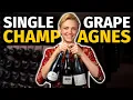 Download Lagu Blanc De Blancs vs Blanc De Noirs: Ultimate Single Varietal CHAMPAGNE Tasting