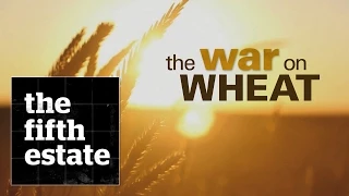 The War On Wheat The Fifth Estate 