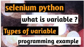selenium python what is variable types of variable detail explanation with example