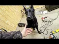 It s Insulation Time T1-11 Siding Install Part One