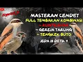 Download Lagu NGERIIII..!!!MASTERAN CENDET FULL TEMBAKAN KOMBINASI || KUNTILANAK, GEREJA TARUNG, TENGKEK BUTO !!
