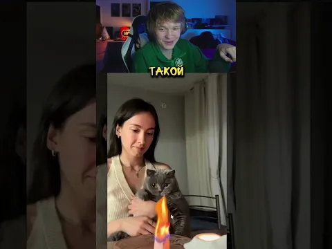 ФОКУС ДЛЯ КОТИКА #дипинс #тикток #shorts