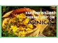 Download Lagu Arnica Harvesting and Uses with Herbalist Yarrow Willard | Harmonic Arts