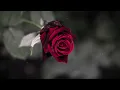 Don't Forget To Remember Me- Bee Gees(잊지 말고 날 기억해줘요 - 비 지스) 가사 번역 한글자막