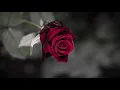 Download Lagu Don't Forget To Remember Me- Bee Gees(잊지 말고 날 기억해줘요 - 비 지스) 가사 번역 한글자막