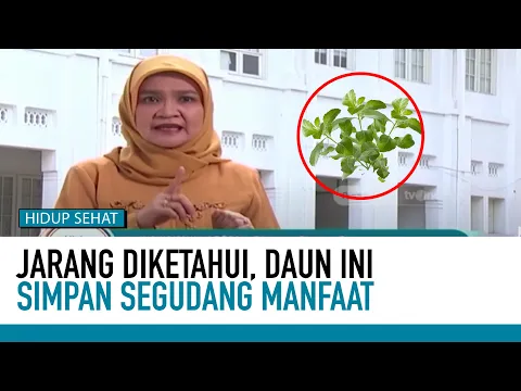Daun Beluntas, Kenali Manfaatnya Sebelum Dikonsumsi