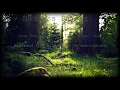Liquid Fraction - Endless Summer - Part 10 - Deep Ambient IDM -  DuB Techno  Mix - August 15th 2021