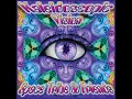 Download Lagu Space Tribe \u0026 Friends - Kaleidoscopic Vision (Album Mix)