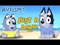 What s WRONG With SOCKS BLUEY Explained
