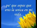 25horas al dia - proyecto uno (con letra)
