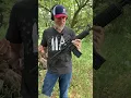 Dirt cheap AR this is crazy
