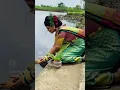 Lagu #makeupartist #video #shorts #koli look π©·π©·