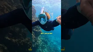 قناع التنفس هل ينفع للغوص هذي تجربتي بحر اكسبلور غوص 