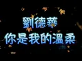 Download Lagu 劉德華 你是我的溫柔（中文字幕）高音質（國語歌曲）氛圍版