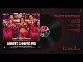 Chhote Chhote Peg Full Audio   Yo Yo Honey Singh   Neha Kakkar  Navraj Hans So