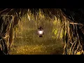 Sleep Instantly in Palm Tent with Heavy Rainstorm & Roaring Thunder Sounds in RainForest at Night