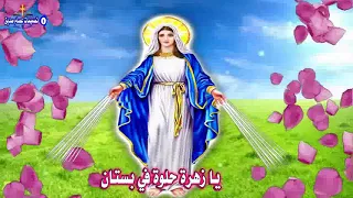 جينا نزورك دندنها